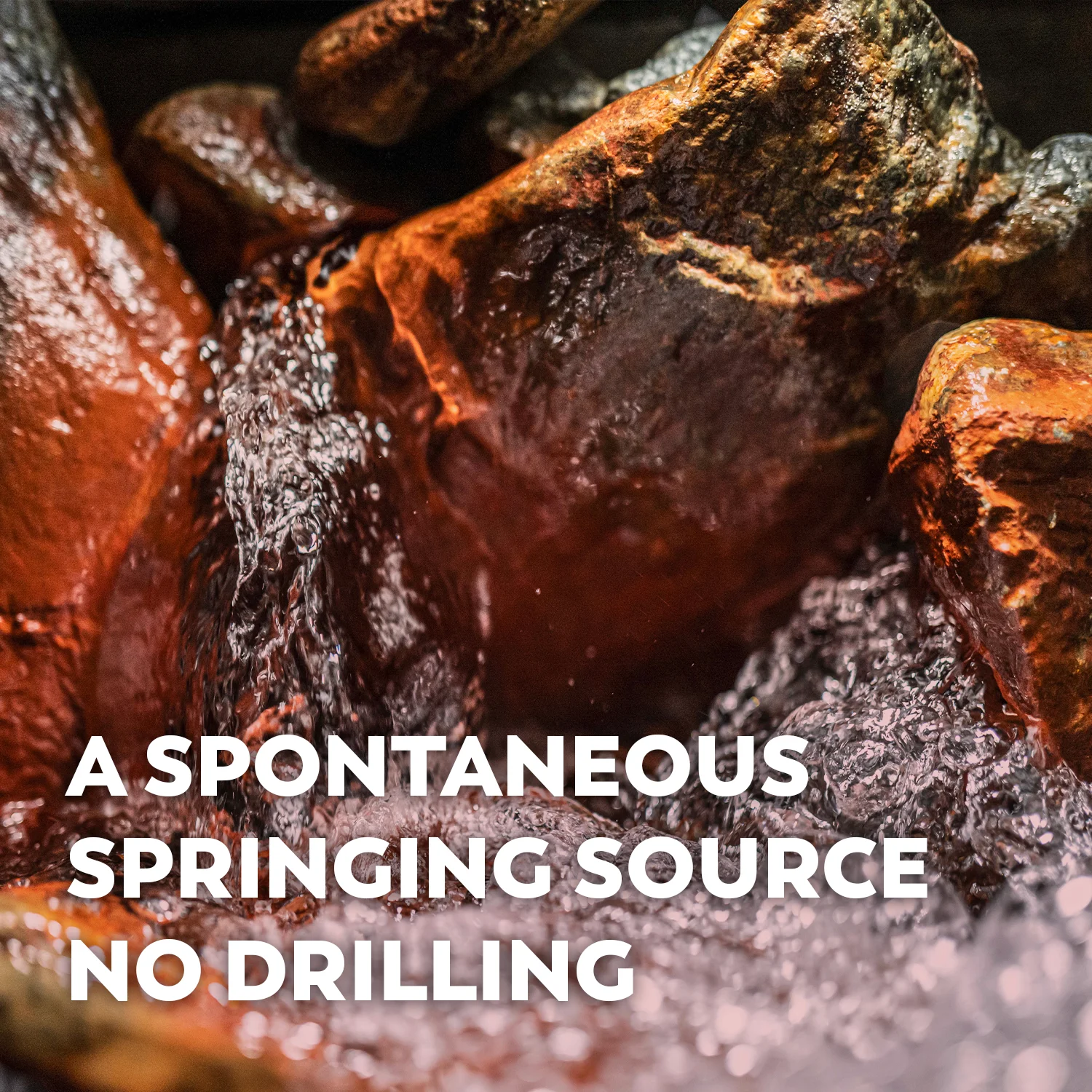 BONNEVAL Sparkling Water Bottle - Natural Mineral Water from the French Alps, Recycled and Recyclable - Sparkling Water 24 Pack x 16.9FL OZ