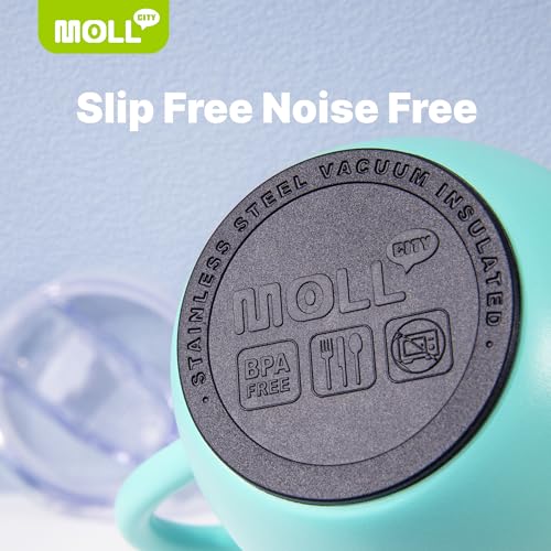 Tumbler with Lid and Straw-12 oz Stainless Steel Double Wall Vacuum Insulated Tumbler Cup with Handle (Canyon Red-Sky Blue)