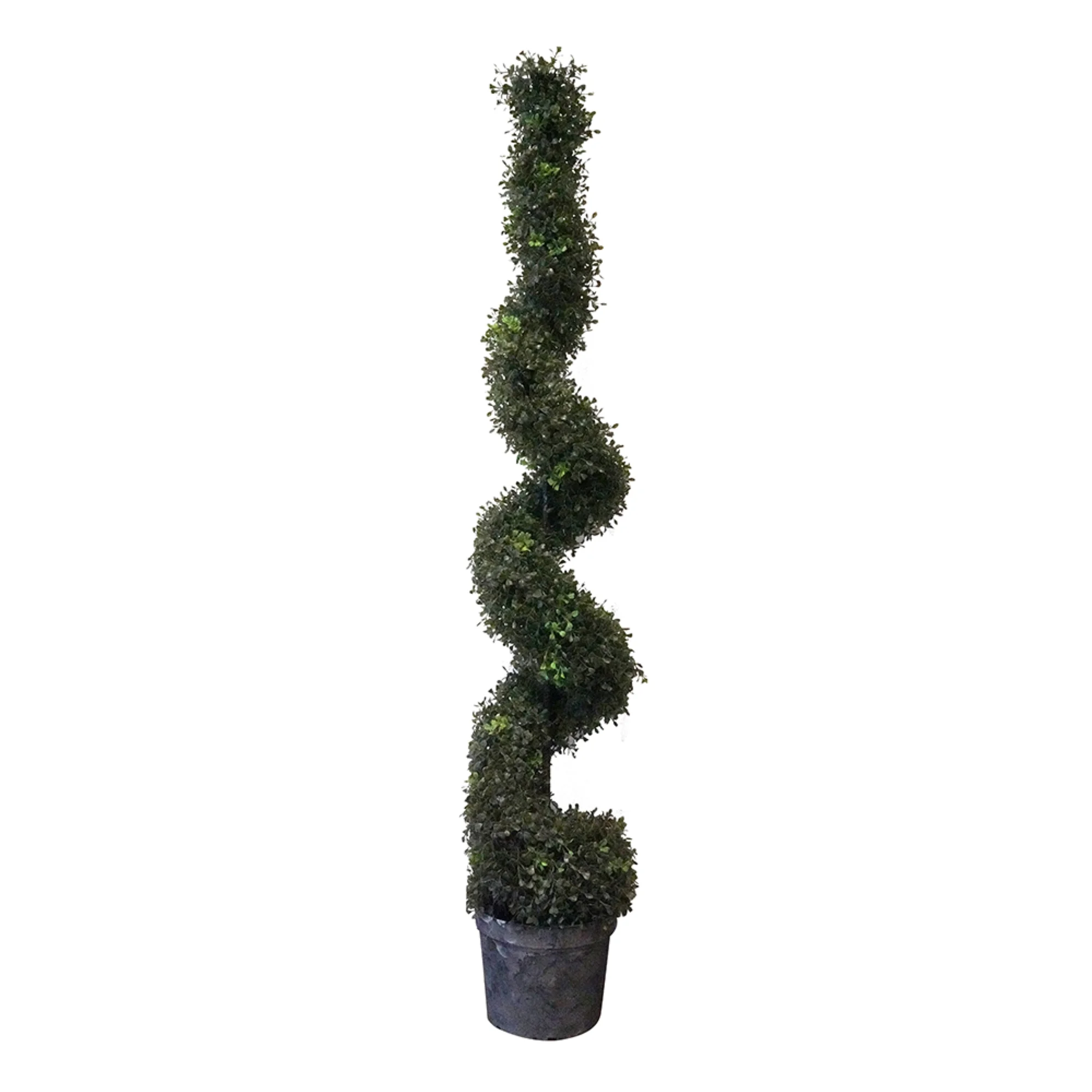 CC Home Furnishings Potted Spiral Boxwood Topiary Artificial Tree - 5'