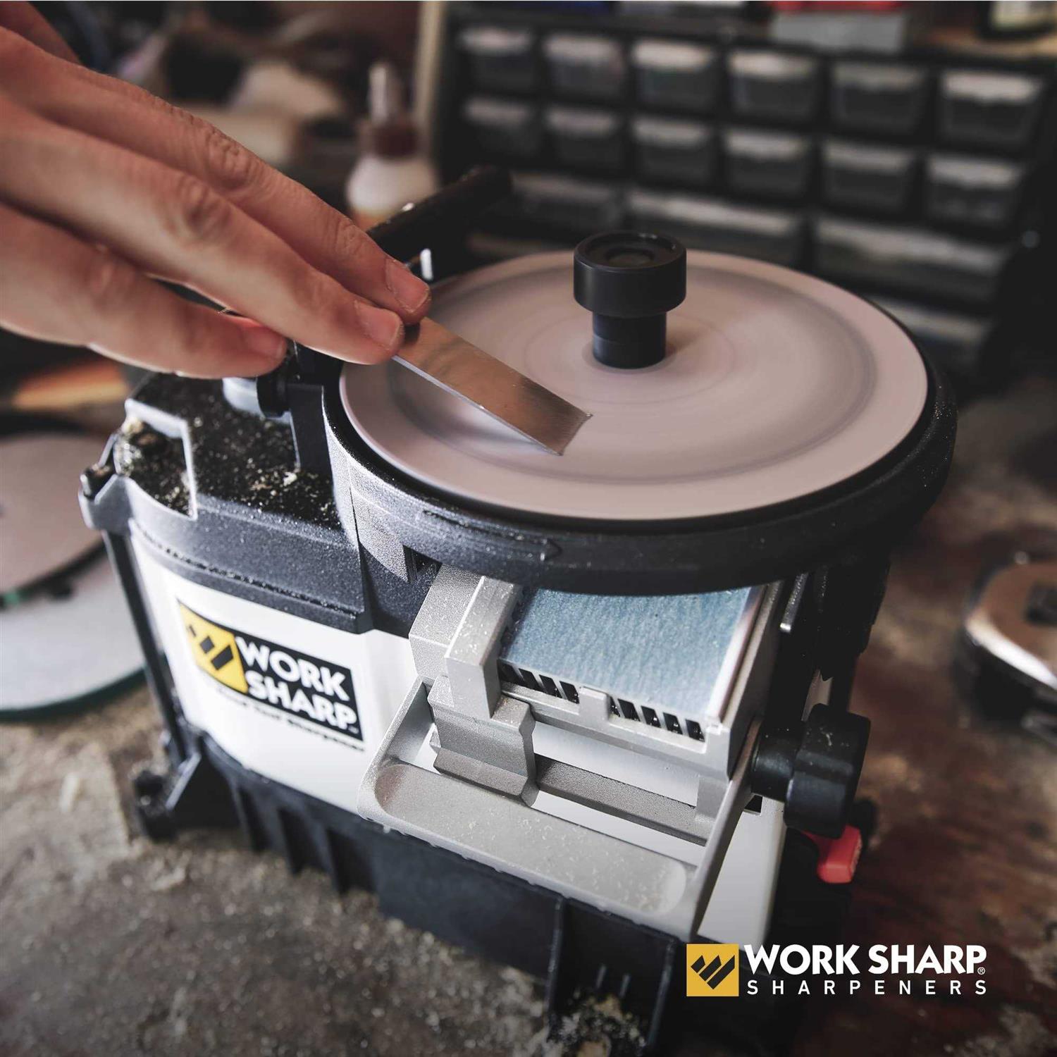 Work Sharp WS3000 Tool Sharpener - Shop Hardware Tools Online Store
