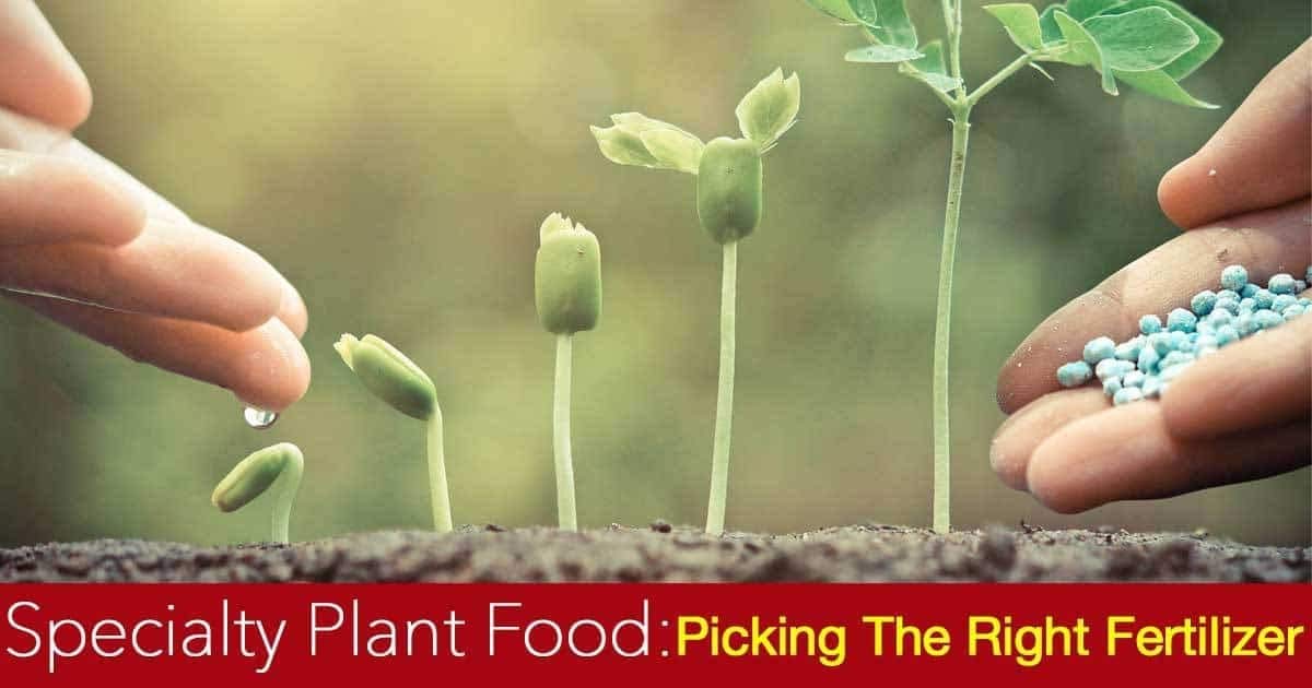 ® Osmocote Classic Flower and Vegetable Smart-Release Plant Food, 15 oz (14-14-14 Plant Fertilizer)