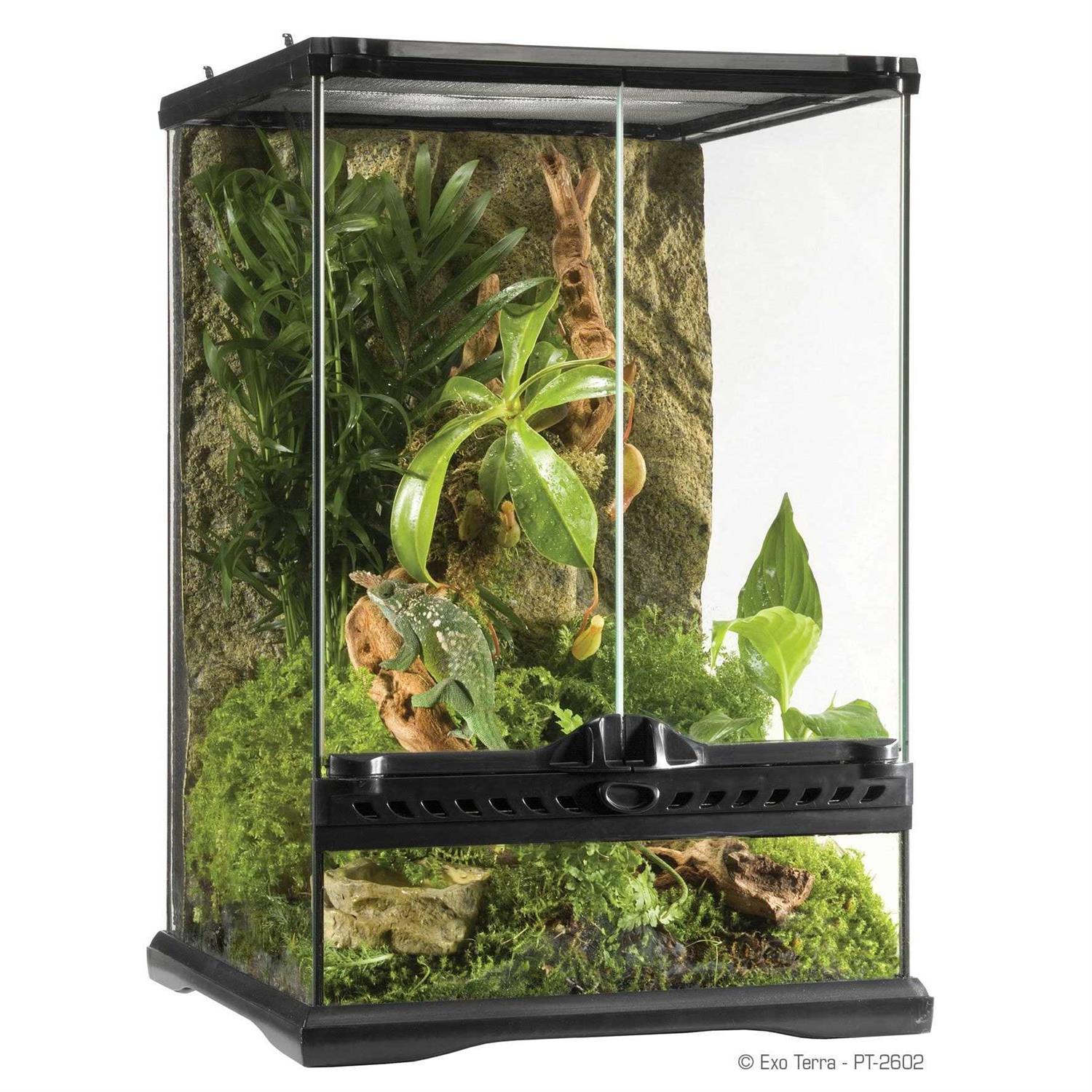Exo Terra Glass Terrarium - Pet Supplies online store