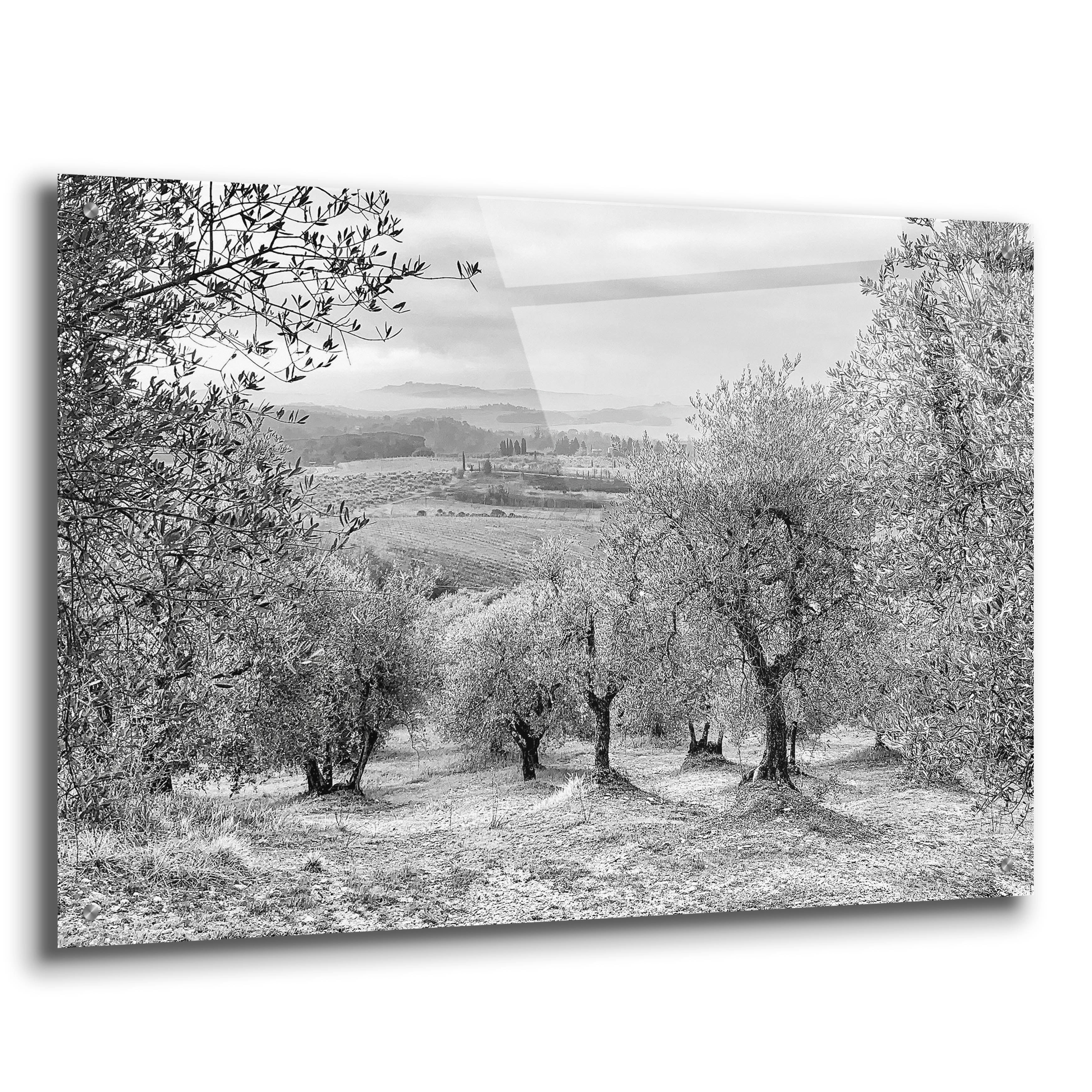 Epic Art 'Kansas or Chianti' by IMB, Acrylic Glass Wall Art, 36