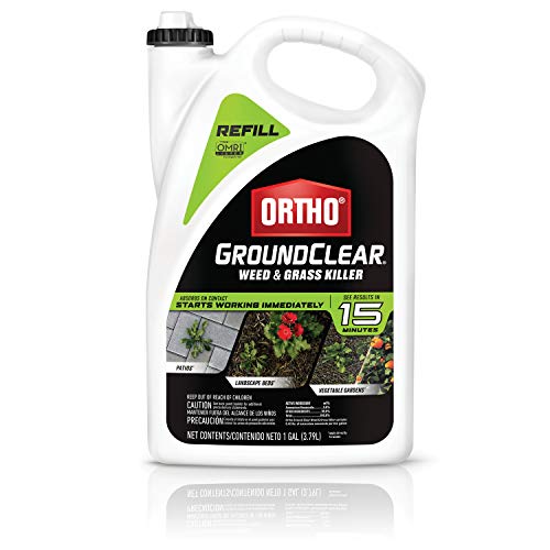 Ortho GroundClear Weed and Grass Killer2 Concentrate, Broadleaf Weed Control for Landscape Beds, Around Vegetable Gardens or Patios, Results in 15 Minutes, OMRI Listed, 32oz.
