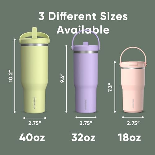 Hydrapeak Nomad 24 oz Tumbler with Handle and Straw Lid, Leakproof, Double Insulated, 24oz Cup Stainless Steel (Blush)
