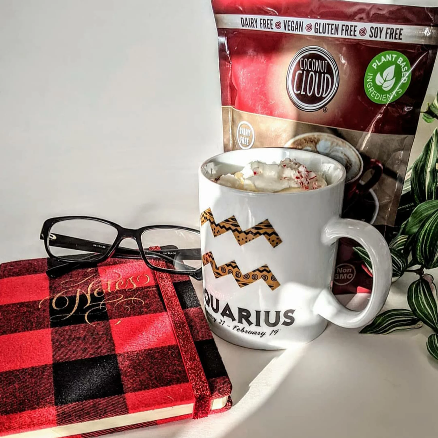 Vegan Instant Hot Cocoa Mix