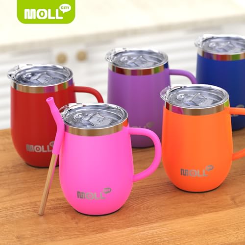 Tumbler with Lid and Straw-12 oz Stainless Steel Double Wall Vacuum Insulated Tumbler Cup with Handle (Canyon Red-Sky Blue)