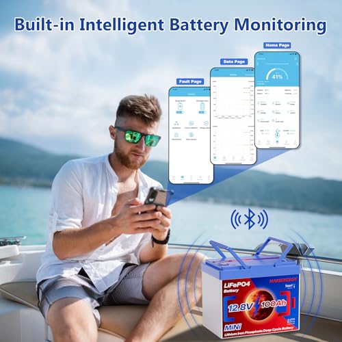 12V 100Ah Lifepo4 Battery, Bci Group 24, Built-In 100A Smart BMS, 4500 To 15000 Deep Cycle Grade A Cells Lithium Battery For Rv, Trolling Motor, Marine, Home Energy Storage, Solar Panel System (B-1PC)