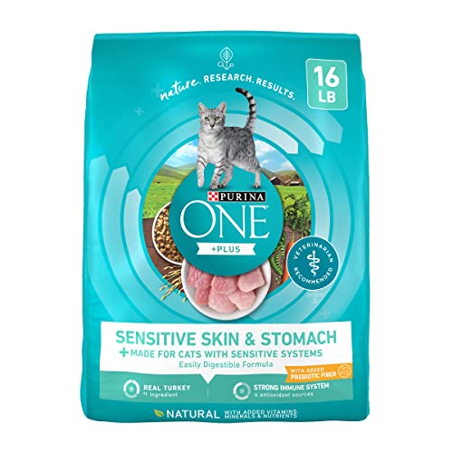 Purina ONE Sensitive Stomach, Sensitive Skin, Natural Dry Cat Food, +Plus Sensitive Skin and Stomach Formula - 22 lb. Bag