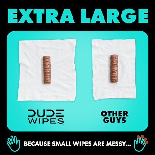 DUDE Wipes - Flushable Wipes Stocking Stuffers - 1 Pack, 48 Wipes - Mint Chill Extra-Large Adult Wet Wipes - Eucalyptus & Tea Tree Oil - Sewer and Septic Safe