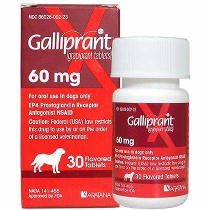 Galliprant 60 Mg Tab 30 Ct For Dogs - Pet Supplies online store