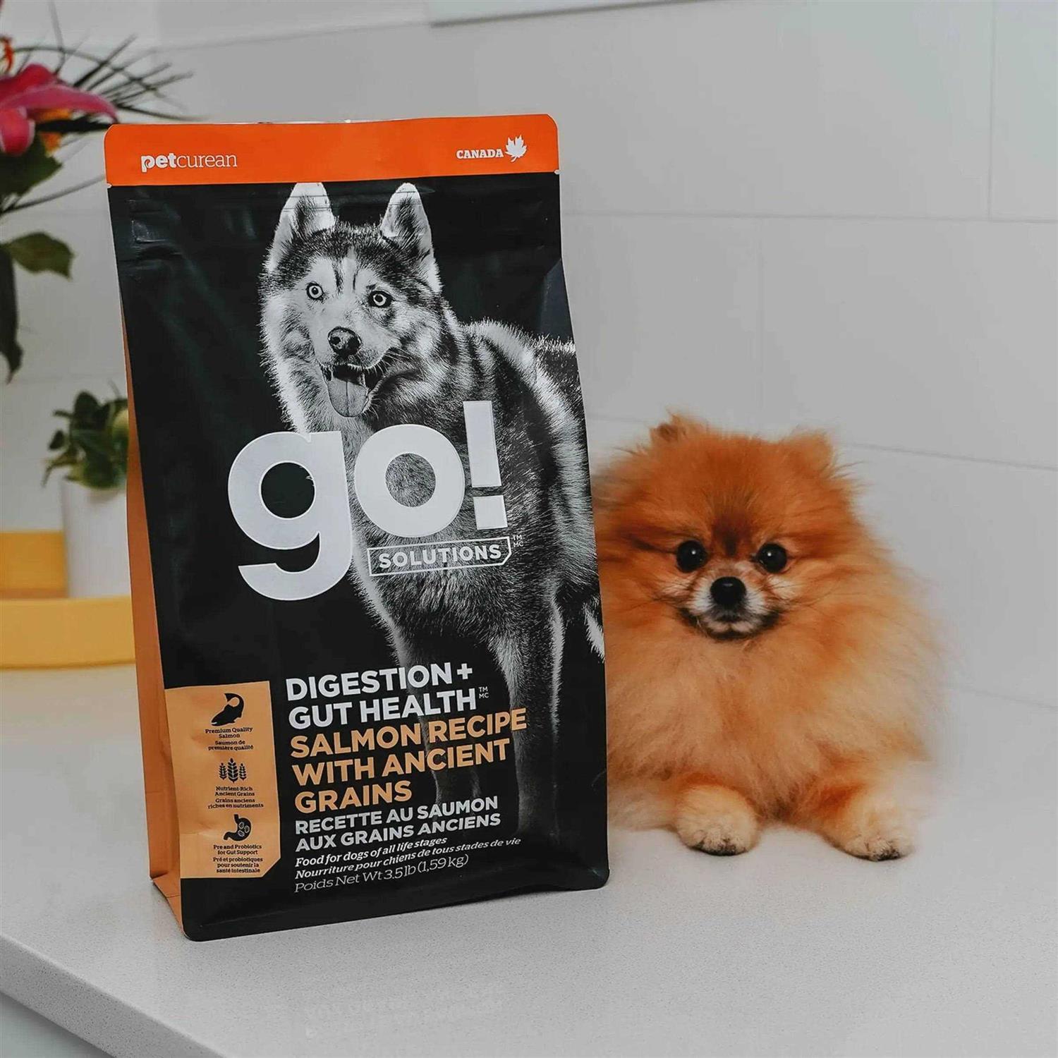 Go! Solutions Digestion Gut Health Salmon Recipe with Ancient Grains for Dogs - Pet Supplies online store