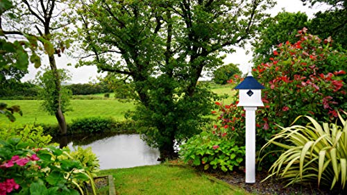 Jasmine Bird House (Hammered Copper)