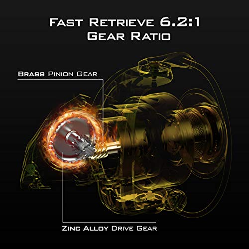 KastKing Valiant Eagle Gold Spinning Reel - 6.2:1 High-Speed Gear Ratio, Freshwater and Saltwater Fishing Reel, Faster Line Retrieve, Braid Ready Spool, 7+1 Shielded Stainless Steel Ball Bearings