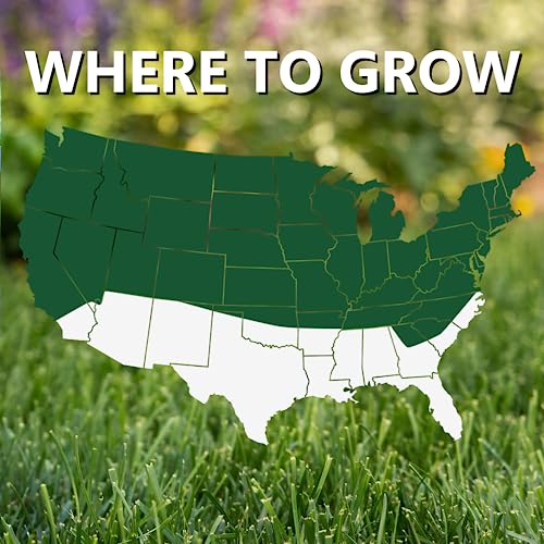 Jonathan Green (10620) Black Beauty Dense Shade Grass Seed - Cool Season Lawn Seed (7 lb)