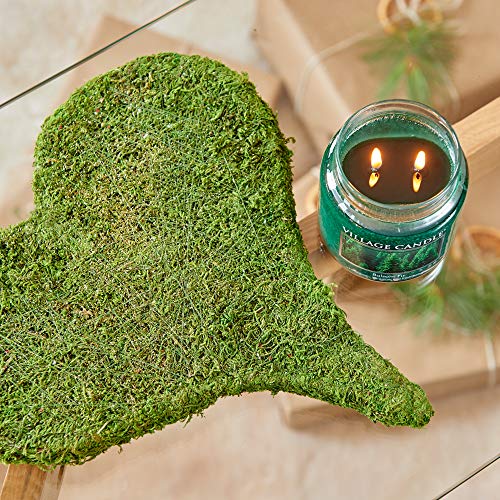 Village Candle Balsam Fir Large Apothecary Jar, Scented Candle, 21.25 oz., Green