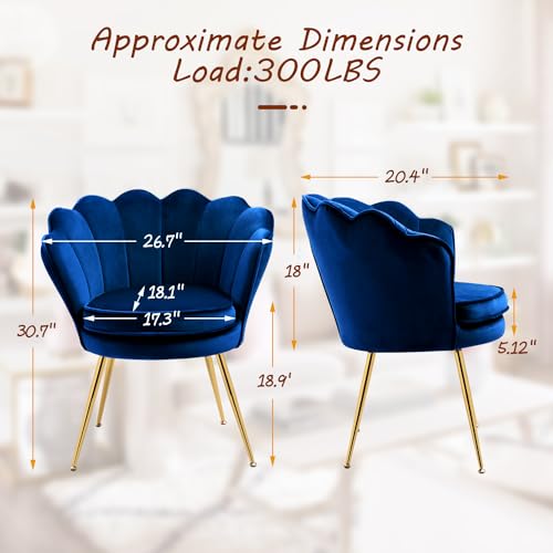 Velvet Accent Chairs Set of 2 for Living Room, Mid Century Modern Arm Chair, Comfy Vanity Chair for Makeup Room, Reception Armchair with Golden Legs for Bedroom, Grey