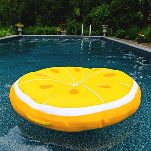 Big Joe Fruit Pool Floats, No Inflation Needed, Quick Draining Fabric, Round Loungers and Pool Noodles