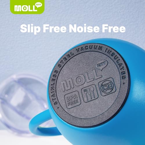 Tumbler with Lid and Straw-12 oz Stainless Steel Double Wall Vacuum Insulated Tumbler Cup with Handle (Canyon Red-Sky Blue)