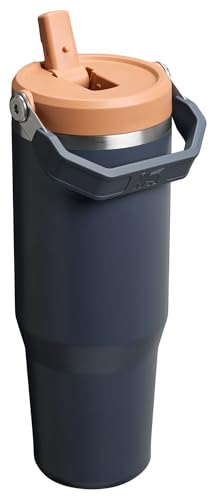 Stanley IceFlow Flip Straw Tumbler with Handle 30 oz | Twist On Lid and Flip Up Straw | Leak Resistant Water Bottle | Insulated Stainless Steel |BPA-Free | Lilac