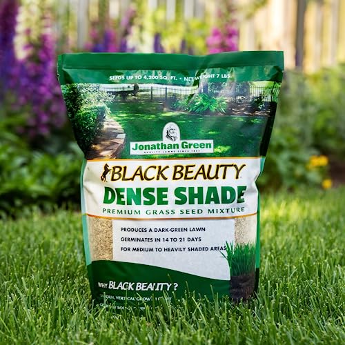 Jonathan Green (10620) Black Beauty Dense Shade Grass Seed - Cool Season Lawn Seed (7 lb)