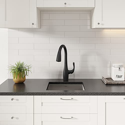 Kraus KHU101-24L Standart PRO 24-inch Undermount 16 Gauge Single Bowl Laundry and Utility Sink, 24 Inch, Tight Radius