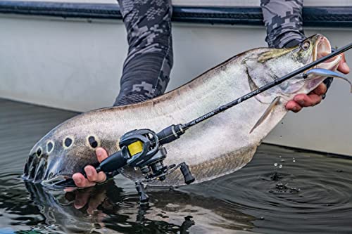 KastKing Kestrel Elite Baitcasting Fishing Reel, Magnesium Frame Finesse Baitcaster Lightest at only 4.4 Ounces, Easily Cast Lures Down to 1/32 oz, 11+1 Double Shielded BB, 8.4:1 High Speed Gear Ratio