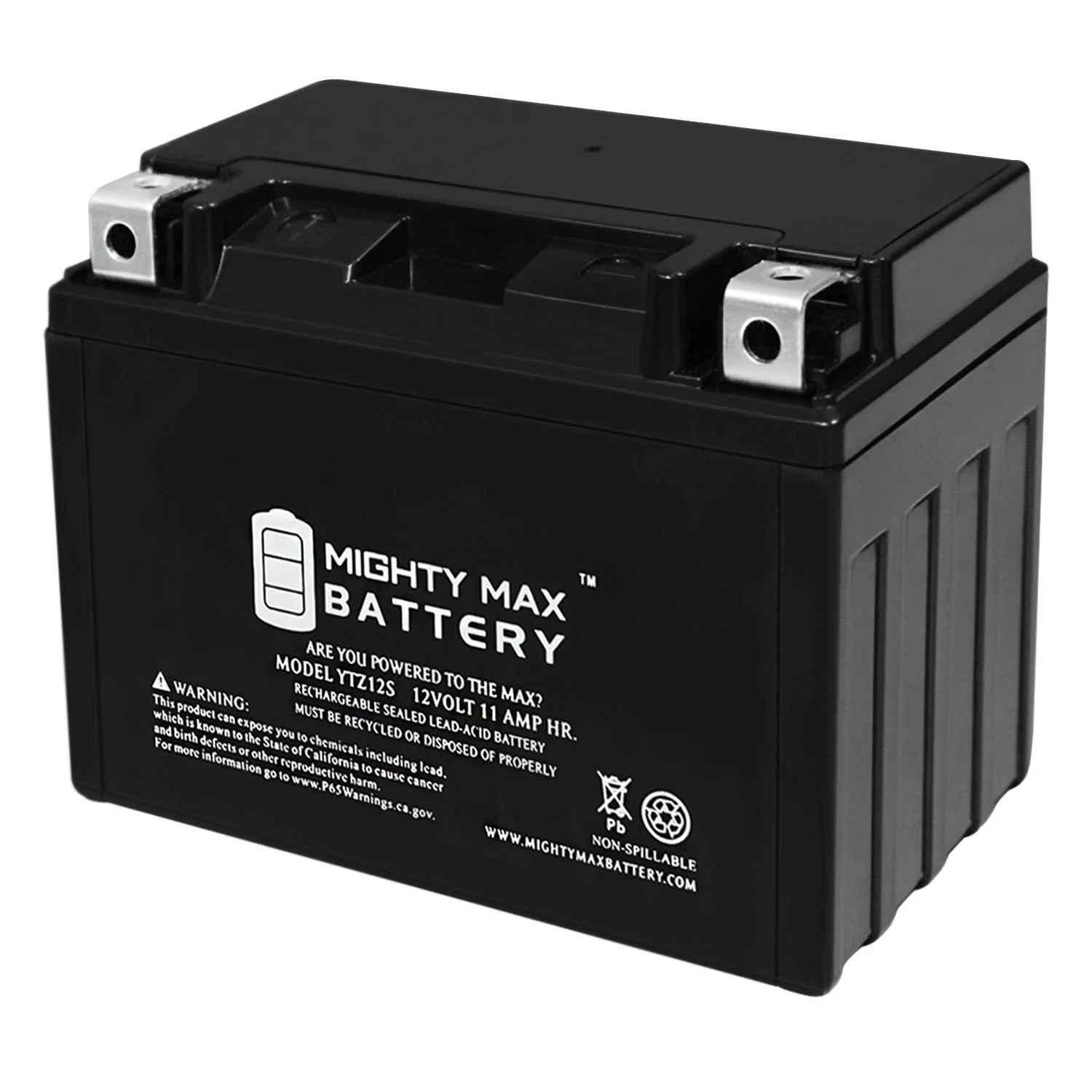 YTZ12S 12V 11Ah Battery Replacement for WPS CTZ12S-BS 49-2287