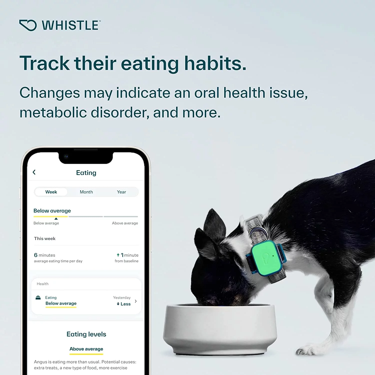 Whistle Health Smart Device | Dog Health and Fitness Tracker