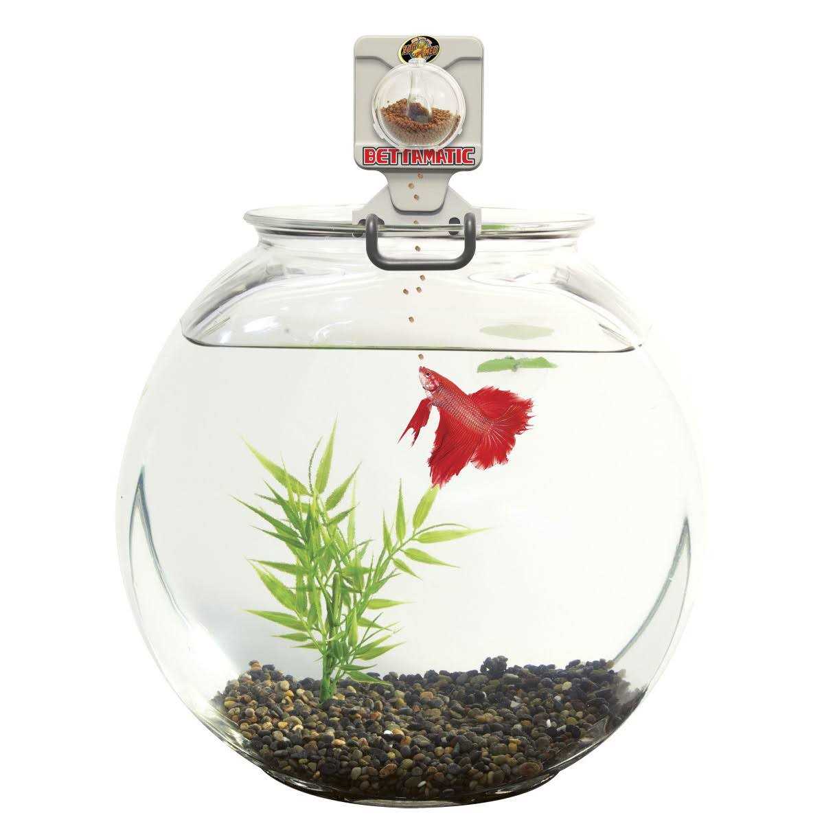 Zoo Med Bettamatic Automatic Daily Betta Feeder - Pet Supplies online store