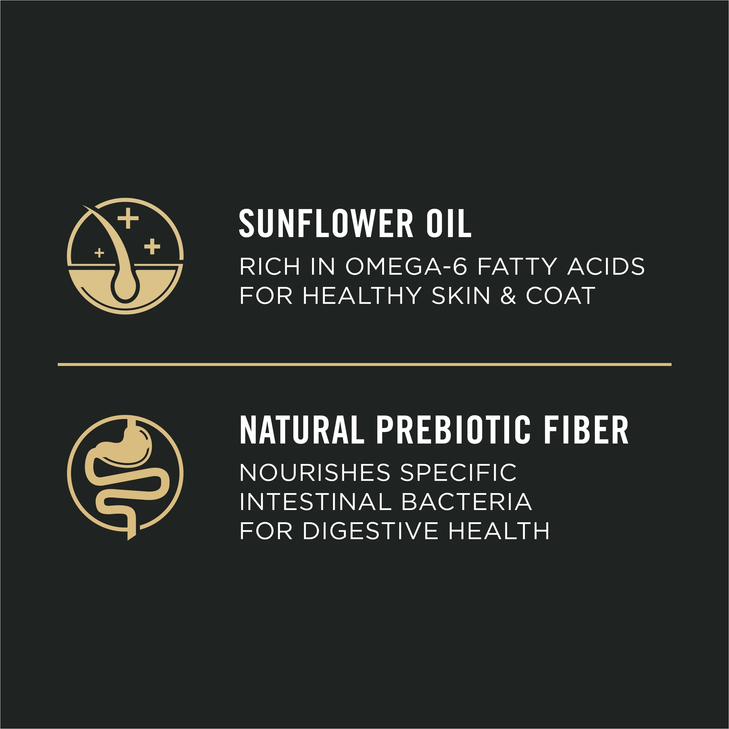 Purina Pro Plan Adult Dry Dog Food Sensitive Skin & Stomach, Salmon & Rice, 16 lb bag