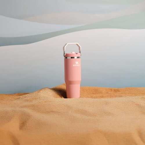 Stanley IceFlow Flip Straw Tumbler with Handle 30 oz | Twist On Lid and Flip Up Straw | Leak Resistant Water Bottle | Insulated Stainless Steel |BPA-Free | Lilac