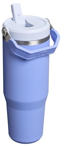 Stanley IceFlow Flip Straw Tumbler with Handle 30 oz | Twist On Lid and Flip Up Straw | Leak Resistant Water Bottle | Insulated Stainless Steel |BPA-Free | Lilac