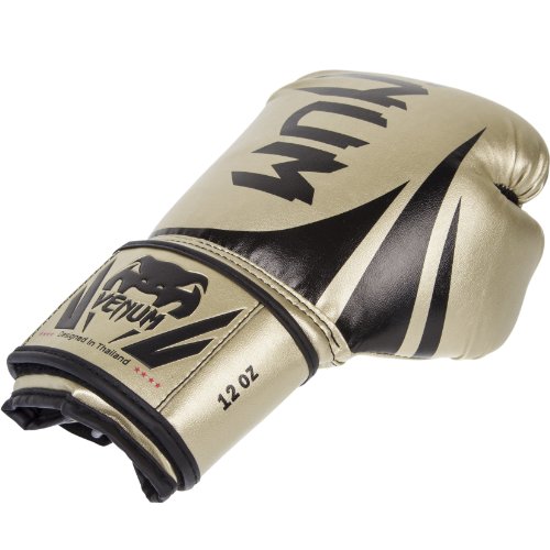 Venum Challenger 2.0 Boxing Gloves