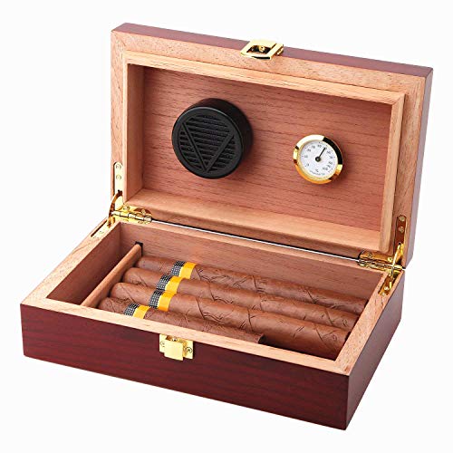 Bald Eagle Handmade Cigar Humidor, Cedar Cigar Desktop Box with Humidifier and Hygrometer, Glass Top for 25 Cigars (20-25 Cigars)