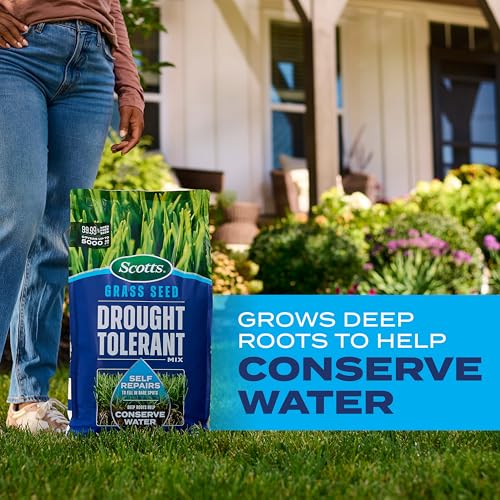 Scotts Grass Seed Drought Tolerant Mix, Kentucky Bluegrass and Tall Fescue Grass Seed Mix, Covers up to 2,000 sq. ft., 4 lb.