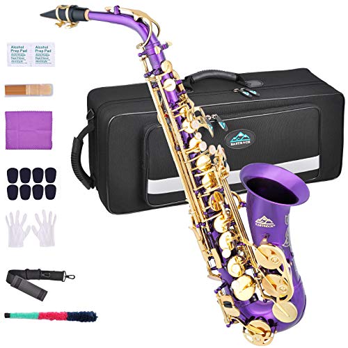 EASTROCK Black/Golden Alto Saxophone E Flat Sax Full Kit for Students Beginner with Carrying Case,Mouthpiece,Mouthpiece Cushion Pads,Cleaning Cloth&Cleaning Rod,White Gloves,Neck Strap