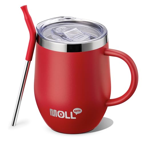 Tumbler with Lid and Straw-12 oz Stainless Steel Double Wall Vacuum Insulated Tumbler Cup with Handle (Canyon Red-Sky Blue)