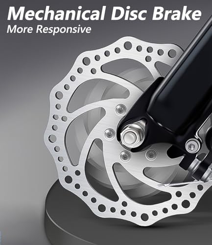 Adult Electric Tricycle Adult Tricycle 3 Wheel Bikes Adults Electric Three Wheel Bike