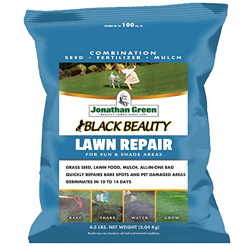 Jonathan Green (10448) Black Beauty Lawn Repair for Sun & Shade Areas - Cool Season Grass Seed, Fertilizer, & Mulch (13.5 lb)