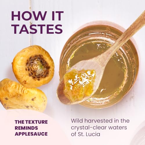 Healthy Herbs Sea Moss Gel (Elderberry) Wildcrafted from Jamaican St Lucia Gold Seamoss | Wild-Harvested Superfood With Over 90 Essential Vitamins & Minerals | Vegan, Non-GMO, US-Made (16 oz.)