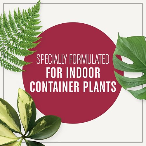 Miracle-Gro Houseplant Potting Mix - Fertilized Soil, Designed to be Less Prone to Gnats, 4 qt. (2-Pack)