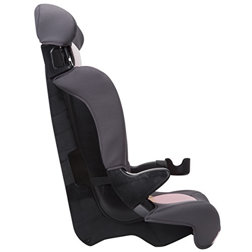 Cosco® Finale DX 2-in-1 Booster Car Seat, Dusk