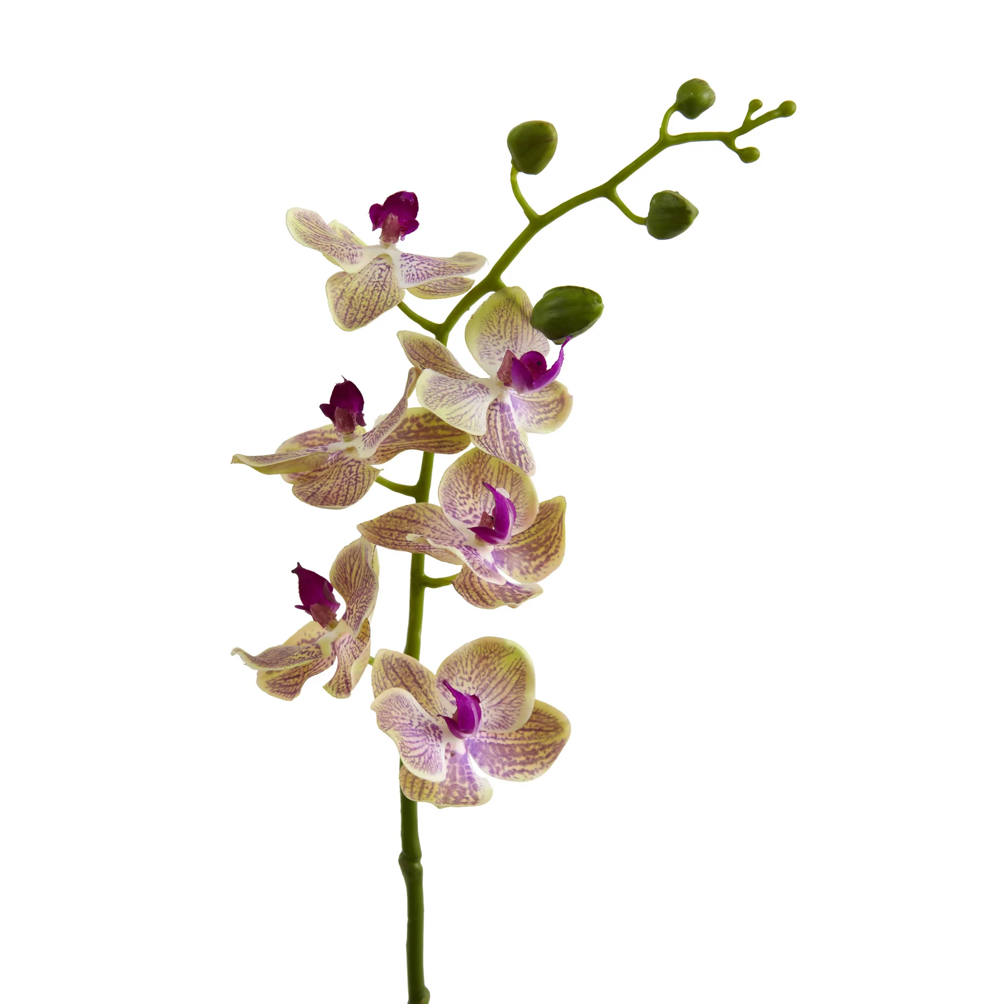 Nearly Natural 29in. Phalaenopsis Orchid Artificial Flower (Set of 4), Raspberry