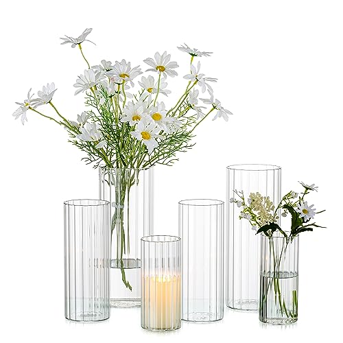 Romadedi Ribbed Hurricane Candle Holders - Set of 6 Cylinder Glass Candle Holder for Pillar Clear Flowers Vases for Centerpieces Party Wedding Table Decorations Home Decor