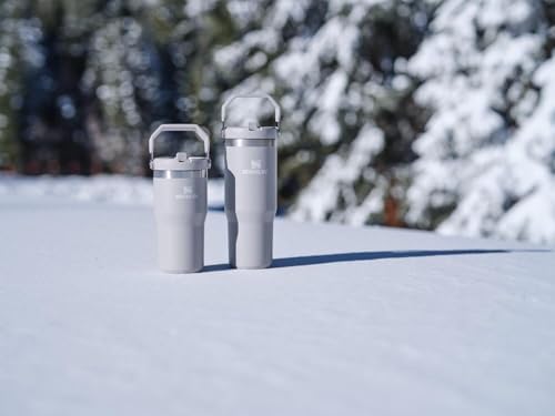 Stanley IceFlow Flip Straw Tumbler with Handle 30 oz | Twist On Lid and Flip Up Straw | Leak Resistant Water Bottle | Insulated Stainless Steel |BPA-Free | Lilac