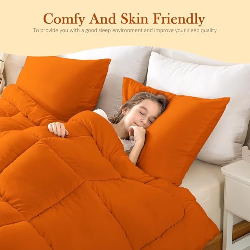 WhatsBedding Queen Comforter Set, Black Lightweight 3 Pieces Bedding Set for All Season Soft Down Alternative Bed Set with 2 Pillowcases, Queen Size,88