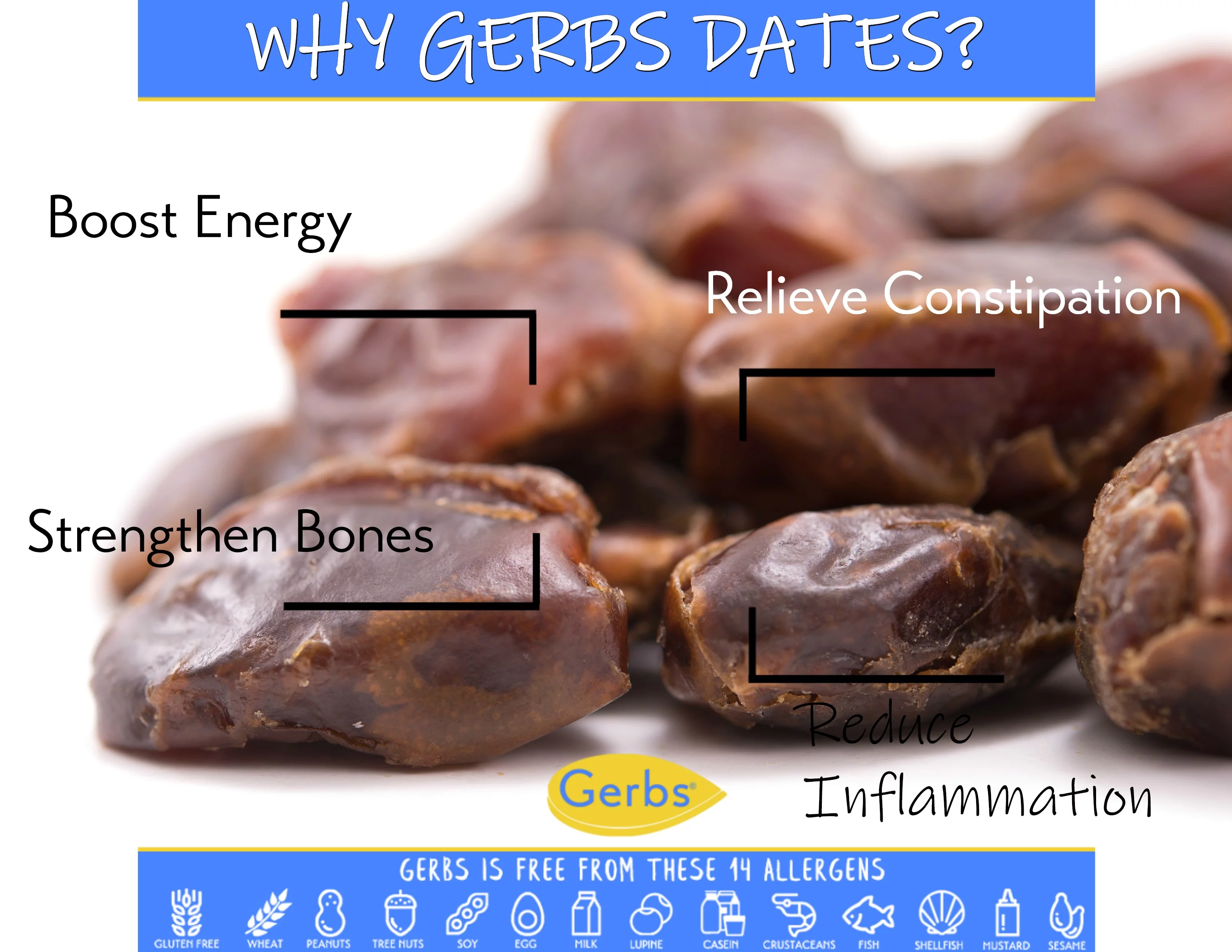 GERBS Dried Araya Dates 2 LBS. Pitted | Freshly Dehydrated Resealable Bulk Bag | Top Food Allergy Free | Sulfur Dioxide Free | High Fiber, Natural Sweetener & Antioxidant rich | Gluten & Peanut Free