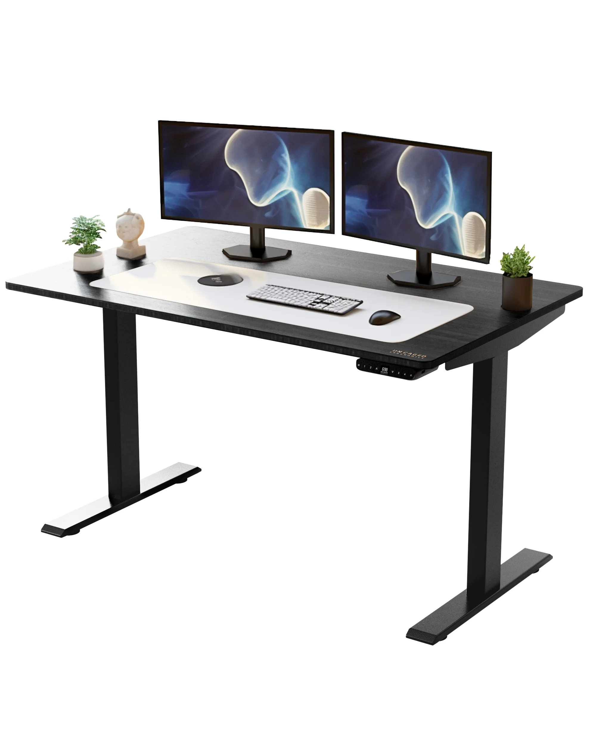 Rise UP Electric Standing Desk adjustable height desk 27-47
