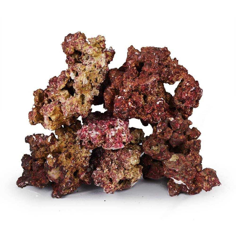 Real Reef Premium Live Rock for Saltwater Aquariums Mixed Sizes - Pet Supplies online store